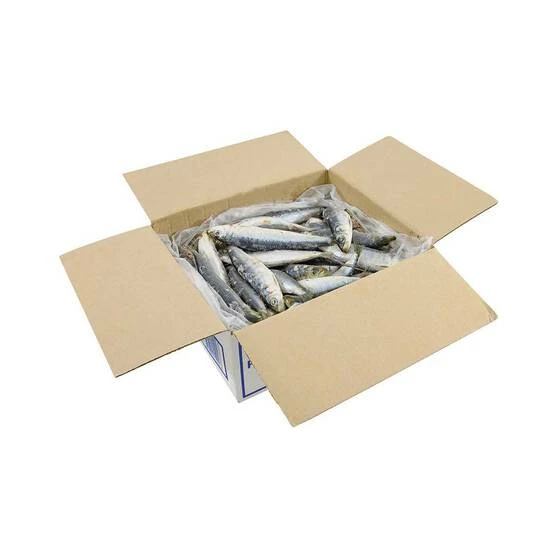 Tweed Bait IQF WA Pilchards 4kg 1 Tweed Bait IQF WA Pilchards 4kg