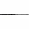 Shimano Beastmaster Spinning Rod