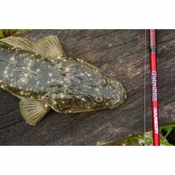 Ugly Stik Carbon Cast Spinning Rod 7 Ugly Stik Carbon Cast Spinning Rod -Cheap Fishing Rod Store BCF 599554 02 hi res