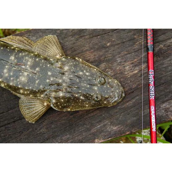 Ugly Stik Carbon Cast Spinning Rod 3 Ugly Stik Carbon Cast Spinning Rod - Image 3