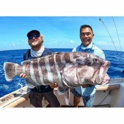 BKK Heavy Circle Super Slide Hook