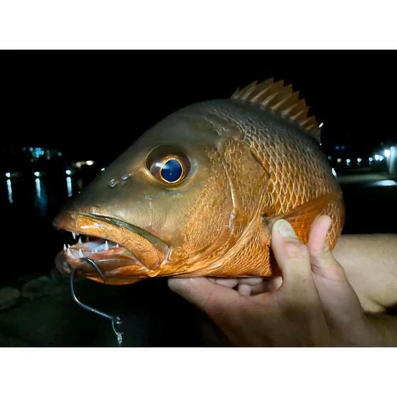 BKK Mutsu Circle Light Hook 1 BKK Mutsu Circle Light Hook