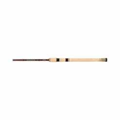 Shimano Raider EGI Spinning Rod
