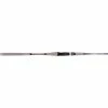 NS Black Hole Explorer Overhead Jigging Rod