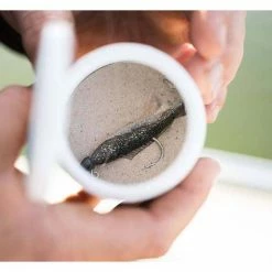 Berkley Gulp! Slime Scent -Cheap Fishing Rod Store BCF 644133 02 hi res